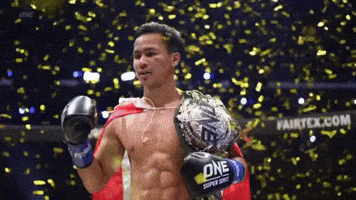 Kickboxing GIF by ONE Championship