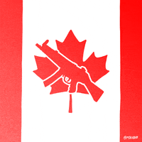 Breaking News Canada GIF by gifnews