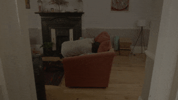 GIF by Rosco 5