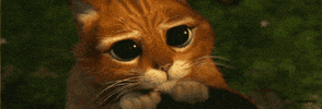 100.gif?cid=20e14a2aa3urpnmz5yrklcupwjix4o4wlurfyejn3a6kb5lr&rid=100.gif