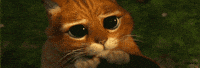 Movie gif. Puss in Boots from Shrek 2 holds his hat in his little paws under his chin. The camera zooms in on his fluffy face and his very large, pleading eyes.
