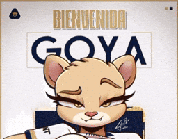 Mexico Puma GIF