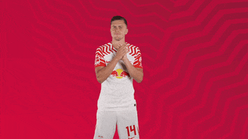Lets Go Football GIF by RB Leipzig