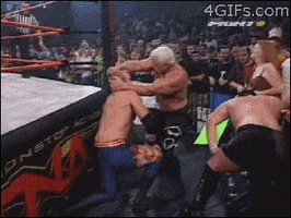 wwe fighting GIF