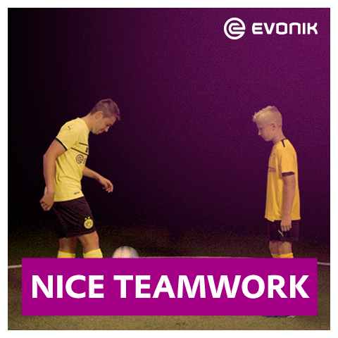Football Soccer GIF by Evonik