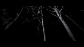 Dark Funeral Night GIF by Century Media Records