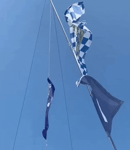 Wind Sailing GIF by Reiter Yachting