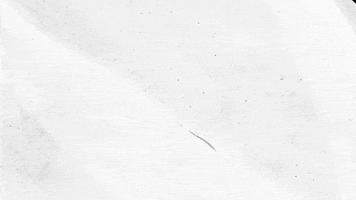 DRIP the MOVEMENT GIF