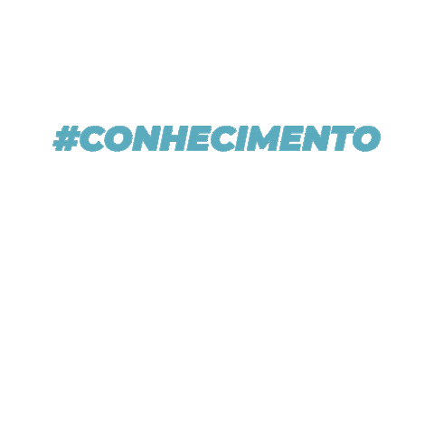 Vectis Desenvolvimento Sticker