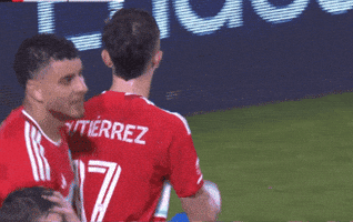Chicago Fire Love GIF by Major League Soccer