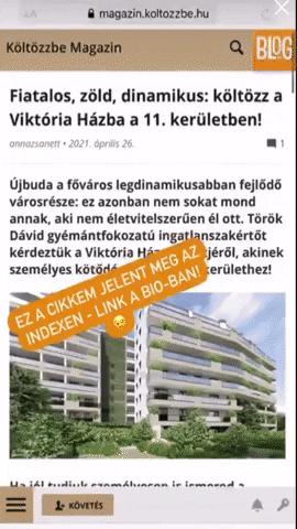 Török Dávid ingatlanszakértő GIF