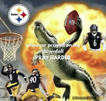 Pittsburgh Steelers GIF