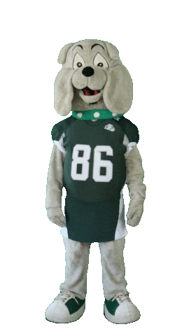 Football Celebration Sticker by Bielefeld Bulldogs