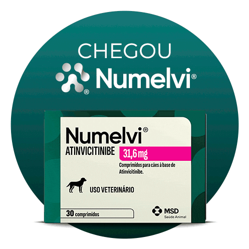 Numelvi Sticker by MSD Família Pet