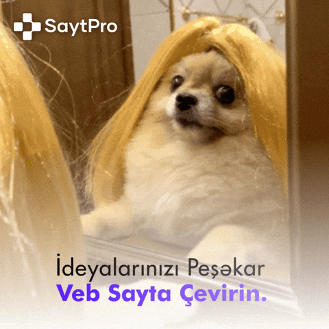 Saytpro GIF