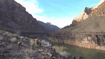 Grand Canyon Wtf GIF by DIIMSA Stock