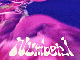 Numberi GIF