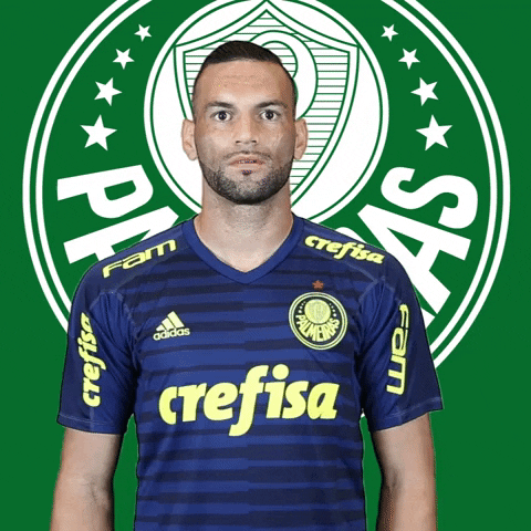 nao GIF by SE Palmeiras