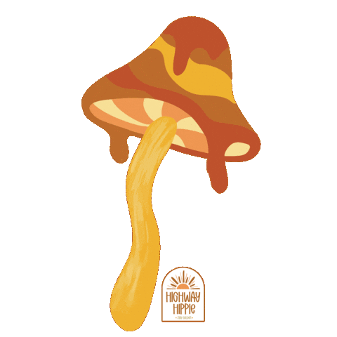 Shop Texas Sticker by Highway Hippie