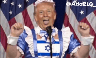 Donald Trump GIF