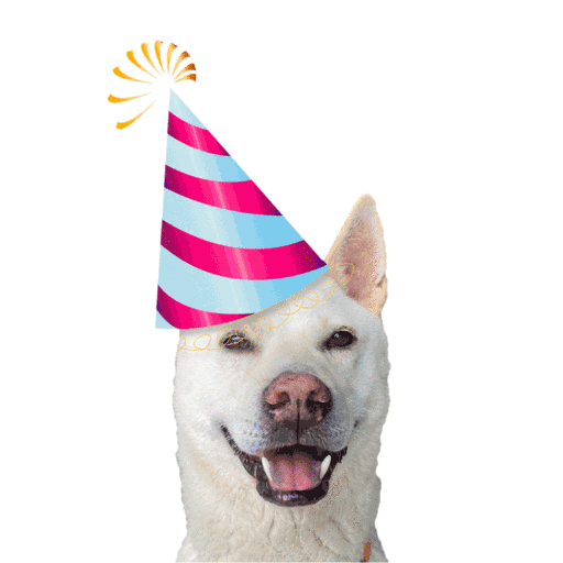 Happy Birthday Feliz Sticker