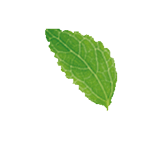 Dulce Sweetener Sticker by Sugar Foods de México