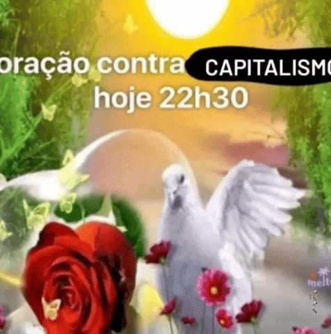 Occ Pomba GIF