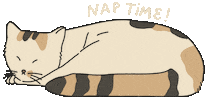 Sleepy Cat Sticker