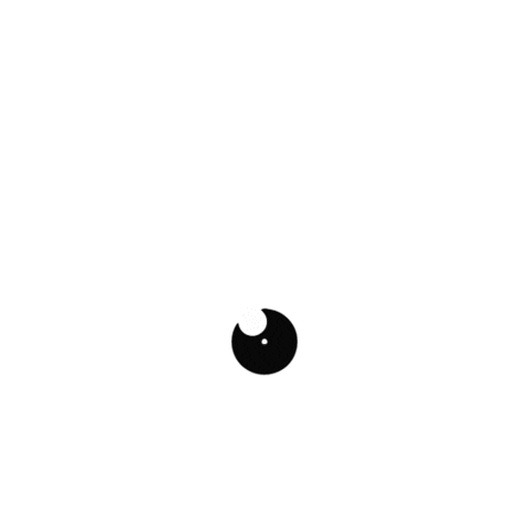 panoramicams Sticker