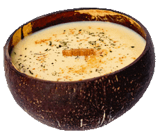 Sticker by Tropikalia.cz