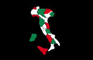maxandmini italy country italian italian flag GIF