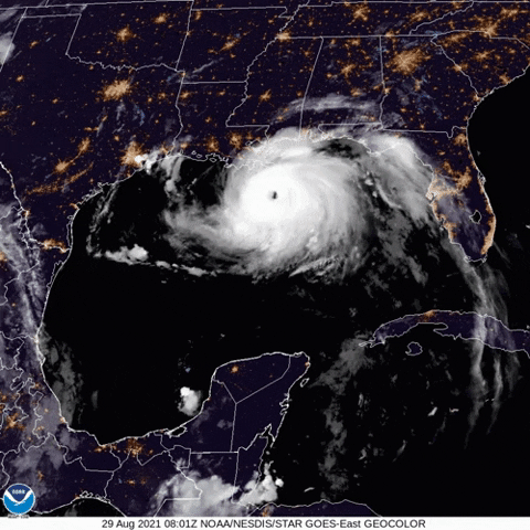 Animated GIF - Find & Share on GIPHY