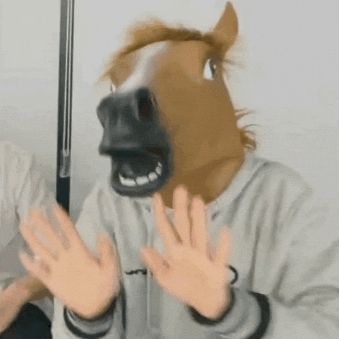 Horse Wow GIF