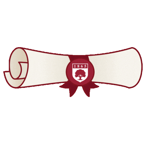 Gobroncs Sticker by Rider University