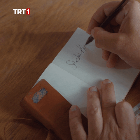 Book Paper GIF by TRT