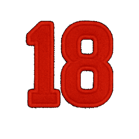 Embroidery Sticker by Customnumbered