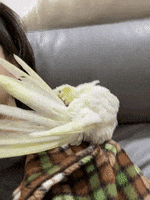 200.gif?cid=fc005b08e22f56121d36b8d4202e9dbcabb7088bc47fce8e&rid=200.gif&ct=g