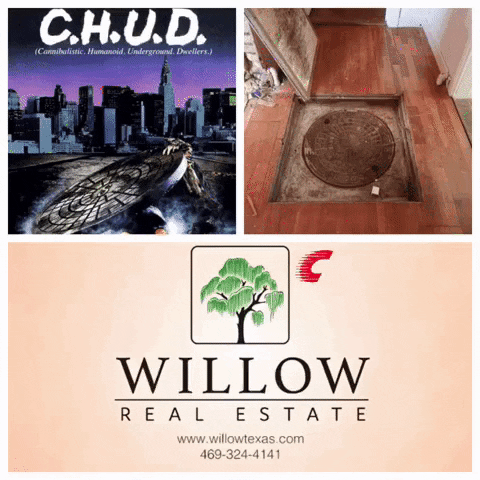 Chud GIF by Willow Real Estate