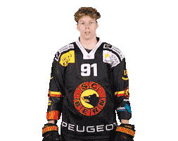 Scb Sticker by SC Bern