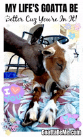 Best Friends Love GIF by Goatta Be Me Goats! Adventures of Pumpkin, Cookie and Java!