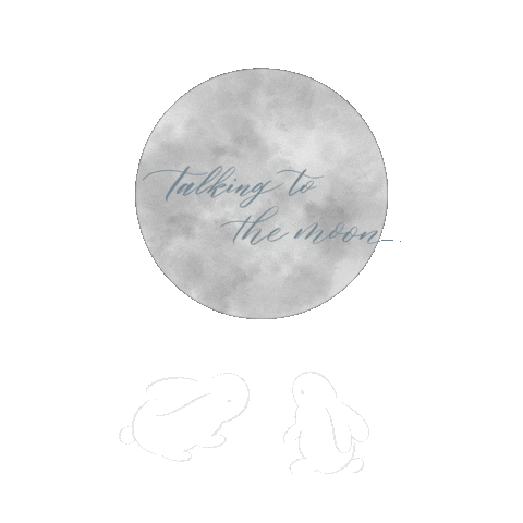 Talking To The Moon Sticker