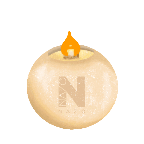 NAZO Sticker