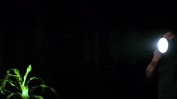 Tools420 GIF