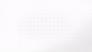 Vera Gelinlik GIF
