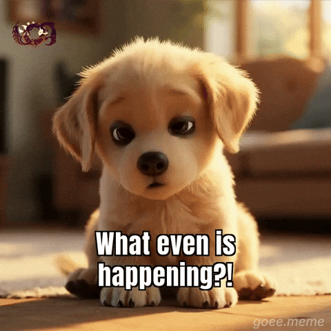 Confused What Is GIF by Goeememe