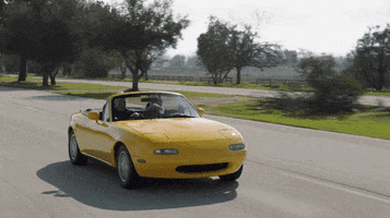 Driving Road Trip GIF by CBS