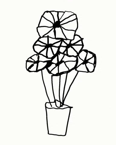 Fun Plant GIF