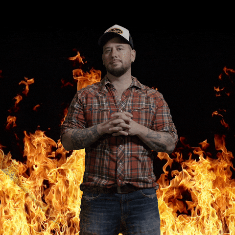 GIF by TRAUFFER