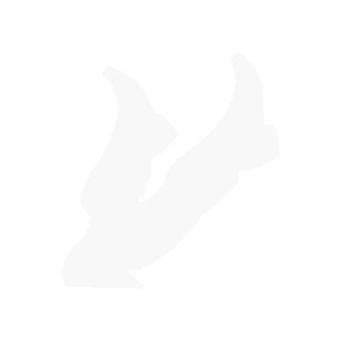 Texas State Strutters Sticker