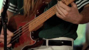 music band bass GIF by Infinity Cat Recordings